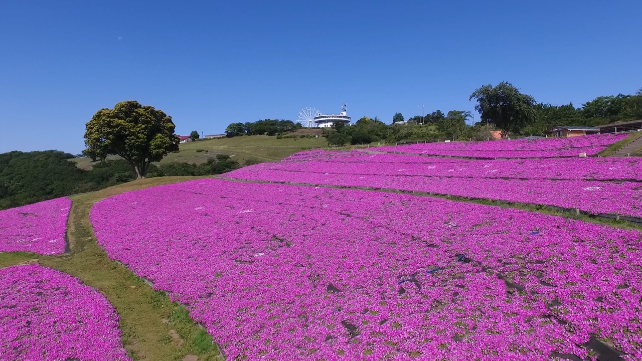 スライドショー1